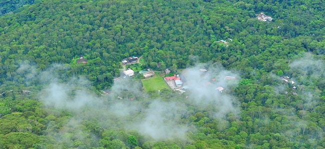 Ruta del Caf&eacute; 1