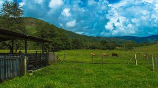 Ranchos ganaderos
